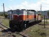Brush 3ft gauge diesel at Heriberto Duquesne 500W L1 128kB.jpg