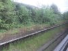 DSCF1085.JPG