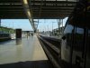 DSCF0531.JPG