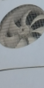 Screenshot_20181105-201123.png