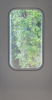 Capture.PNG
