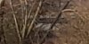 Screenshot_20181214-233049.jpg