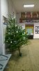 WP_20181216_001.jpg