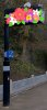 B62EE78D-6EA9-4294-A4AE-97D11C2D7727.jpeg