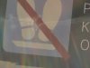 train1.jpg