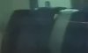 IMG_20181110_162030 - Copy.jpg