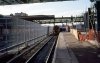 img353R .jpg