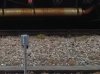 train1.jpg