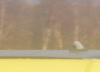 Capture.PNG