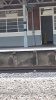 IMG-20190512-WA0003.jpeg