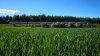 IMG_20190522_165629_2.jpg