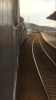 36F3459E-7E0A-4491-950E-5D9B1D3A269E.png