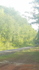 Screenshot_20190529-130310.png
