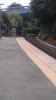 IMAG0025.jpg