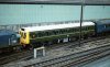 N29_0023-M-51591-in-green-Leicester.jpg