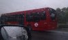 IMAG0156.jpg