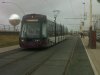IMG00313-20110908-1217.jpg
