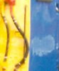 Guess the class part image.jpg