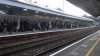 IMAG0077.jpg