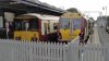 DSC05430.jpg