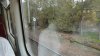 DSC05431.jpg