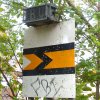 DSC07694.jpg