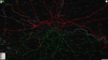 Electrified-London.png
