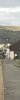 A0719DE8-2B6C-42A3-A0A8-5CEFEFE2DC26.jpeg