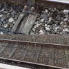 IMG_20190927_181014.jpg