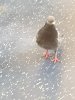 20191009_135514.jpg