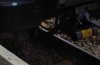 IMG_20191102_100847.jpg
