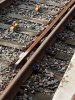 Rail 1.jpg