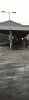 fullsizeoutput_8a2.jpeg