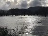 IMG-20200209-WA0021.jpg