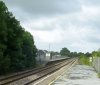 Z.jpg