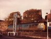 50011.jpg