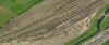 guess_freight.png