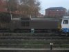 SDC16778.jpg