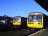 farewell142 048.jpg