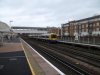 Picture 001.jpg