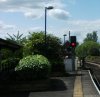 DSCF1451-2.jpg