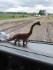 Class 230 Dino.jpg