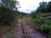 IMG_20200726_203007.jpg
