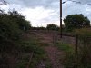 IMG_20200726_202519.jpg