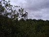 IMG_20200726_203149.jpg