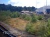 20200728_095341.jpg