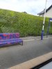 20200729_153113.jpg