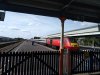 IMG_20200912_121729.jpg