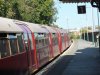 DSCF4166.JPG