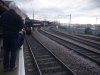 The Two Steam Locos.JPG